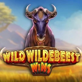 Wild Wildebeest Wins logo – Slots by Pragmatic Play at Jack`s Casino